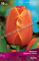 Тюльпан Дарвинов гибрид Ад Рем (красно-оранжевый, 10шт, 11/12) 764133