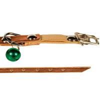 Ошейник синтетик 10мм д/кошек с резинкой 22-28см/00210102/Каскад