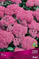 Седум видный Карл (I) 1 шт