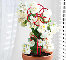 Шпалера д/комнатных Ромашка 45*16см проволока d2,5(d3) /5шт/Л