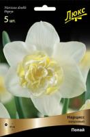 Нарцисс Махровый Попайс (3шт 12/14) 839379