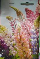 Каприс Люпин Смесь Рассела мног. 20*0,5