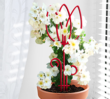 Шпалера д/комнатных Тюльпан 45*15см проволока d2,5(d3) /5шт/Л