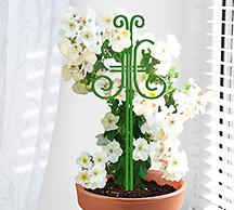 Шпалера д/комнатных Бабочка 44*18см проволока d2,5(d3) /5шт/Л