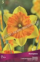 Нарцисс с Расщеплённой коронкой Конгресс (5шт, 12/14) 756209