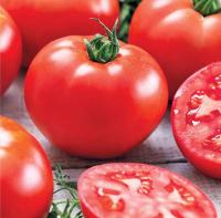 Томат Волгоградский 5/95 0,5г Томат Волгоградский 5/95 0,5г