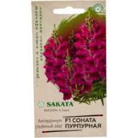 Антирринум (Львиный зев) Соната пурпурная F1 7 шт