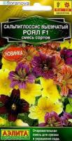 Аэлита Сальпиглоссис Роял, смесь сортов 5шт 