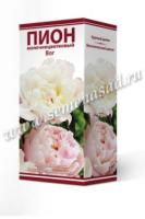 Пион молочноцветковый Вог