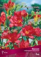 Фрезия гибридная махровая Ред (5/6) 10 шт 741647