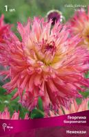 Георгина бахромчатая Ненекази (I) 1 шт