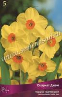 Нарцисс Тацеттовидный Скарлет Джем (золотистый с тёмно-оранжевой коронкой,аром, 5шт, 12/14) 756236