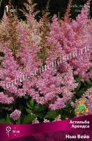 Астильба Арендса Нью Вейв (I) 1 шт