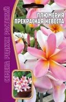 Редкие растения Плюмерия Прекрасная Невеста 3 шт