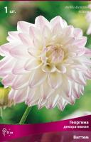 Георгина декоративная Виттем (I) 1 шт 