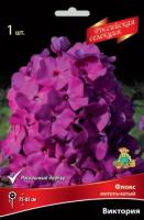 Флокс метельчатый Виктория (I) 1 шт 