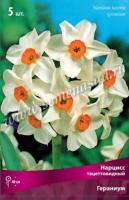 Нарцисс Тацеттовидный Гераниум (белый с оранжевой коронкой, ароматный, 5шт, 12/14) 756235