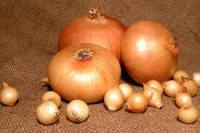 Лук-севок Штуттгартер Ризен 1кг+-10% Россия 