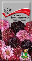 Поиск Скабиоза тёмно-пурпурная Разбитое сердце 10шт
