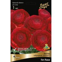 Лютик гибридный Романс Гет Лаки /К 839683