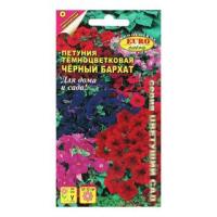 Аэлита Петуния Черный бархат смесь 0,04г