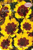 Каприс Кореопсис Летний ветерок однолетний 20*0,5