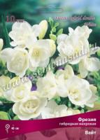 Фрезия гибридная махровая Вайт (5/6) 10 шт 741621