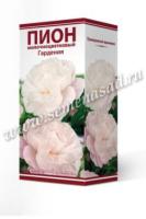 Пион молочноцветковый Гардения (1шт,2-3) 