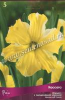 Нарцисс с Расщеплённой коронкой Кассата (5шт, 12/14) 756207