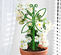 Шпалера д/комнатных Мотылек 44*24см проволока d2,5(d3) /5шт/Л