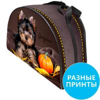 Сумка переноска ДИЗАЙН XL 48*26*32см СП-40