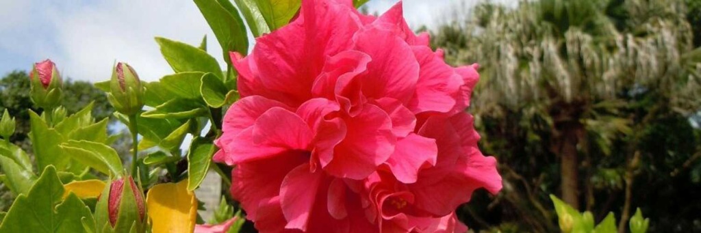 1500x5002,3.jpg 1500x5002,3.jpg