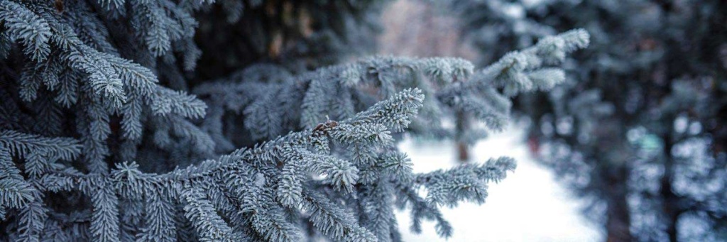 1500x5009jpg.jpg 1500x5009jpg.jpg