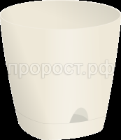 амстердам слив амстердам слив