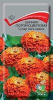 Цинния георгиноцветковая Супер йога оранж Цинния георгиноцветковая Супер йога оранж