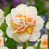 Без названия (2)