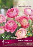 lutik_asia_pink_kaper