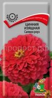 Цинния изящная Салмон роуз Цинния изящная Салмон роуз