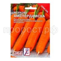 С111537 С111537
