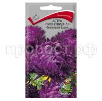 Астра-пионовидная-Фиолетовая-башня-0,3г-Поиск