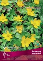 vesennik_zimni_kaper