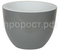 орион серый муссон орион серый муссон