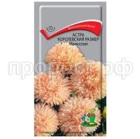 Астра-королевский-размер-Абрикосовая-0,1г-Поиск