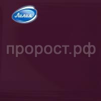 бордо бордо