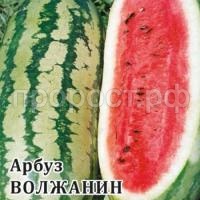 Арбуз Волжанин 50,0 г