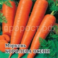 Морковь Королева Осени 25 г