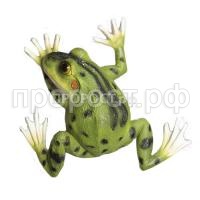 К150524_1 К150524_1