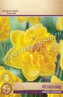 Нарцисс Истертайд Нарцисс Истертайд