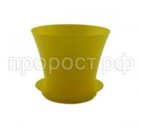 сити желтый сити желтый