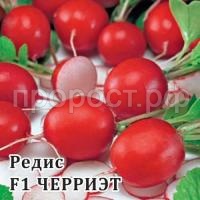 Редис Черриэт F1 1000шт